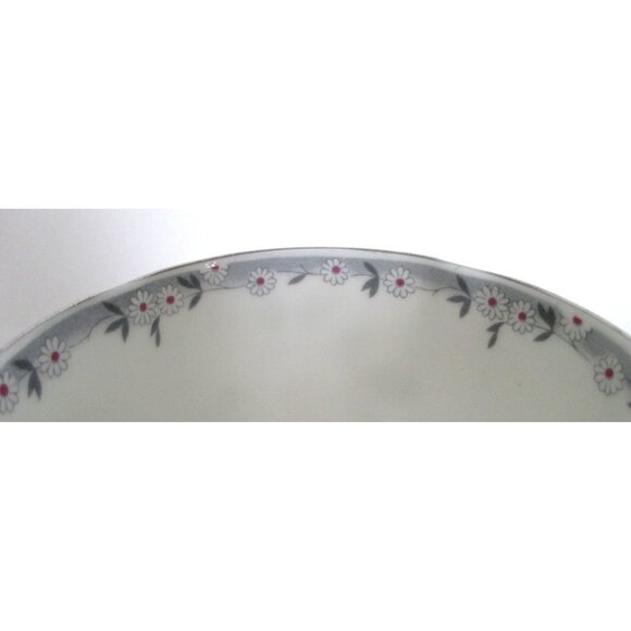 Wild Rose Bone China Tea Cup Teacup Saucer Taylor & Kent English Bone China - Picture 2 of 7